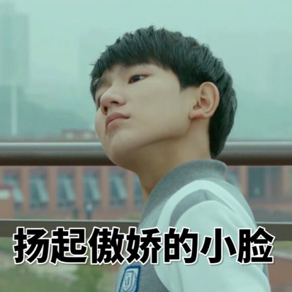 我们的少年时代王源表情包 卖萌耍帅颜值爆表