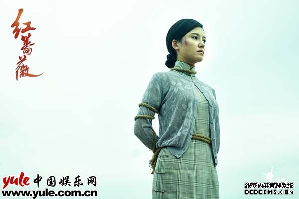 杨子姗从容大气