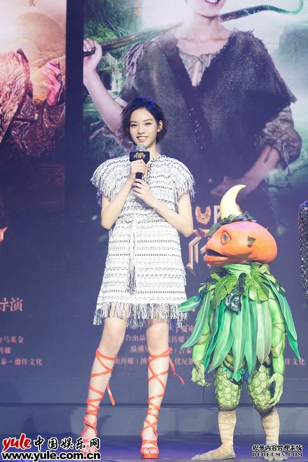 张艺上出席发布会